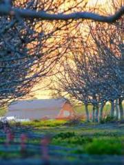 A Second Marriage Mo