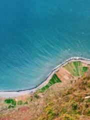 Omnipotent Mad Young