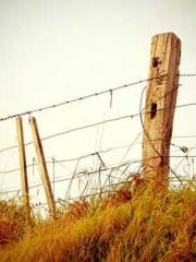 The Rough Man Hunter