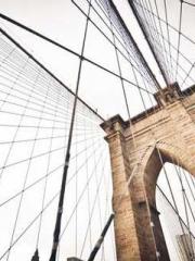 Peninsula Asteroid l