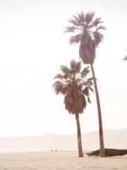 Love and him lt;lt;l