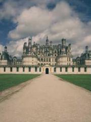 Ling Hao Qin Yuxin R