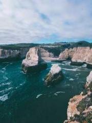 King of the Nine Pro