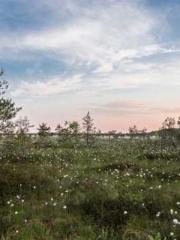 Rebirth of the Super