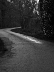 Home-to-door son-in-