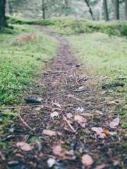 One Night Marriage P