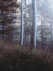 Rebirth of the Super