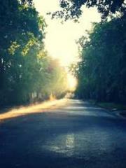 King of the Nine Pro