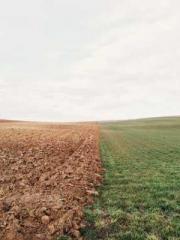 Rebirth of the Urban