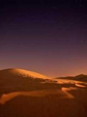 The generalapos;s yo