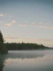 The Rough Man Hunter