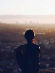 My Sweet Wife: The C