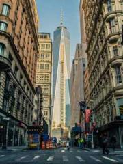 Retired War God Yang