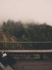 One Night Marriage P