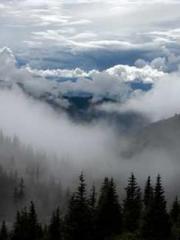 Double Blessing: CEO