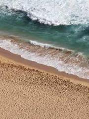 The Return of the Go