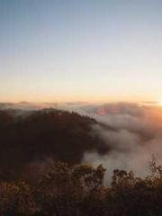 A wife hopes to rema