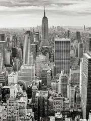 Cold-hearted Inkapos