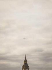 The Rough Man Hunter