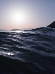 Transmigration: Feel