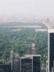 One Night of Indulge