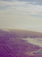 Transmigration: Feel