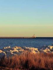 One Night Marriage P