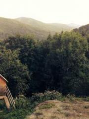 Morning sickness aft